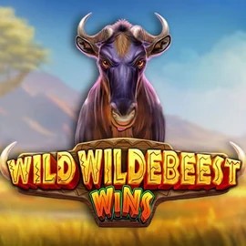 Play the Wild Wildebeest Wins slot by Pragmatic Play on WinRolla Casino